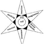 star-diagram