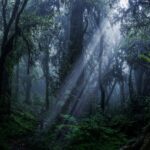 Soul purification through Dante's Divine Comedy — Assagioli on the allegorical journey from inner darkness to spiritual light