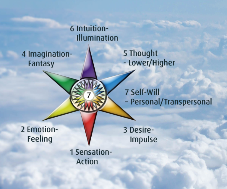 What Is Free Will?